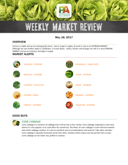 Market Report - Latina Food Service