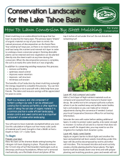Lawn Conversion by Sheet Mulching