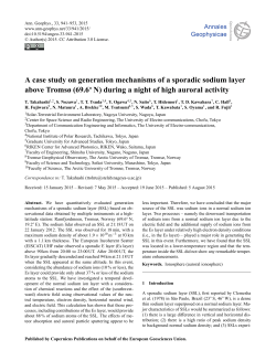 A case study on generation mechanisms of a sporadic sodium layer