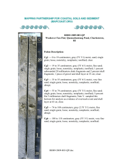Pedon Description Report - Metric Units