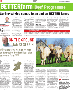 BETTERfarm Beef Programme