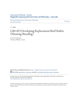 G80-493 Developing Replacement Beef Heifers (Weaning