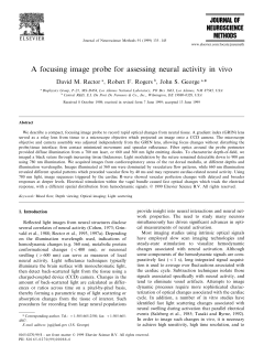 A focusing image probe for assessing neural activity in vivo