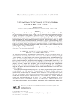 phenomena of functional differentiation and fractal
