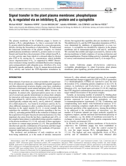 Signal transfer in the plant plasma membrane