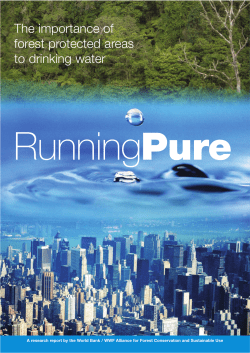 Running pure: the importance of forest protected areas to drinking