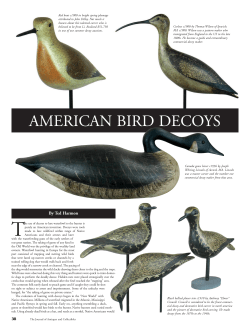 AMERICAN BIRD DECOYS - decoysunlimitedinc.net
