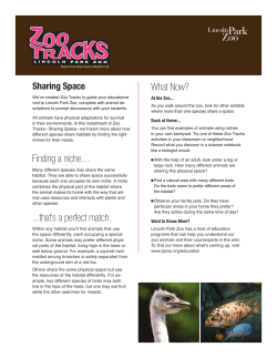 Finding a niche&hellip; - Lincoln Park Zoo