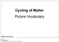 Cycling of Matter Picture Vocabulary