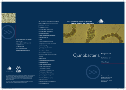 Cyanobacteria Management and