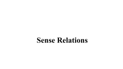 Sense Relations