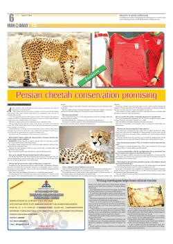 Persian cheetah conservation promising