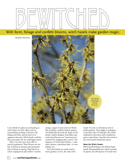 Bewitched