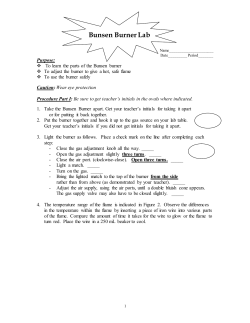 Bunsen Burner Lab