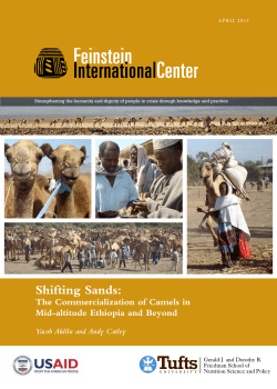Shifting Sands - Feinstein International Center