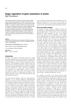 Sugar regulation of gene expression in plants Sjef Smeekens