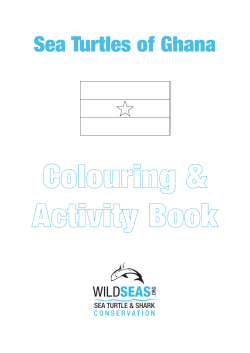 Education_files/turtles of ghana