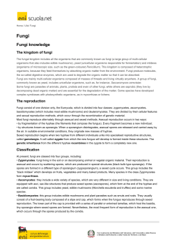 Fungi knowledge
