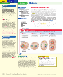 Section 1 Meiosis