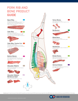 pork rib and bone product guide