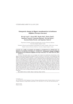 Ontogenetic changes in flippers morphometrics in bottlenose dolphins