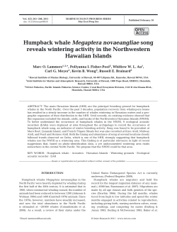 Humpback whale Megaptera novaeangliae song reveals wintering