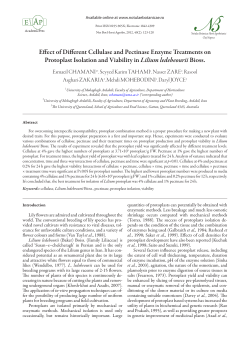Effect of Different Cellulase and Pectinase Enzyme
