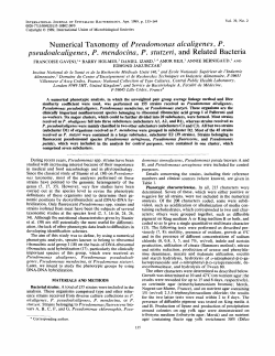P - International Journal of Systematic and Evolutionary Microbiology