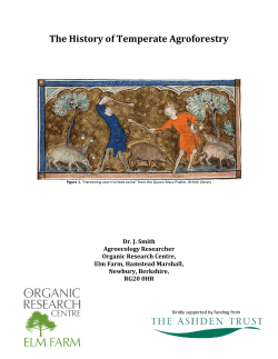The History Of Temperate Agroforestry