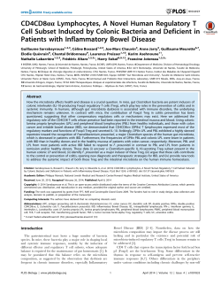 CD4CD8aa Lymphocytes, A Novel Human Regulatory T Cell Subset
