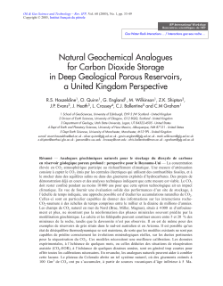 Natural Geochemical Analogues for Carbon Dioxide Storage in Deep