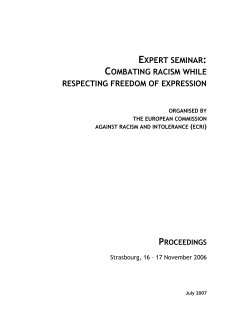combating racism while respecting freedom of expression
