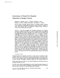 Inactivation of Cloned Na Channels Expressed in Xenop Oocytes