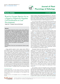 Reactive Oxygen Species Act as a Signal to Negatively