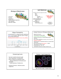 Lipid Membranes Biological Membranes