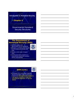 Governmental Homeland Security Structures