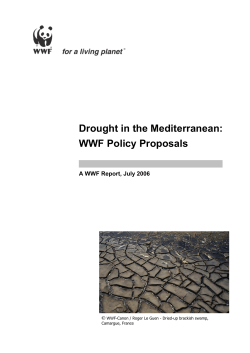 Drought in the Mediterranean: WWF Policy Proposals