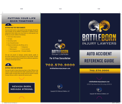 Battleborn Brochure 4x9 V03b.indd