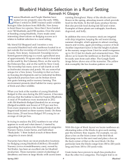 Bluebird Habitat Selection in a Rural Setting