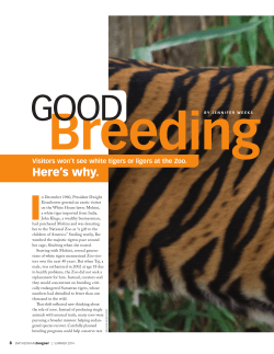 Good Breeding - Jennifer Weeks