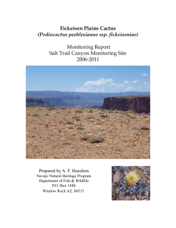 Fickeisen Plains Cactus - Navajo Nation Department of Fish and