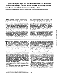 A Cytosolic Complex of p62 and rab6 Associates with TGN38/41