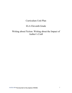 Literary Essay Author`s Craft