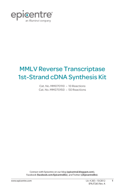 Protocol for MMLV Reverse Transcriptase 1st-Strand cDNA