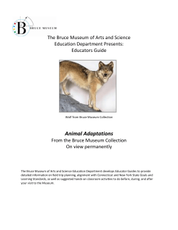Animal Adaptations - Indianapolis Public Schools