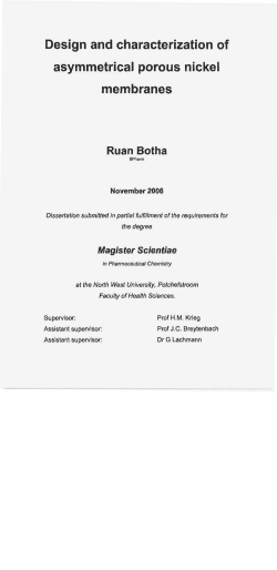 botha_ruan - NWU
