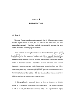 CHAPTER 1 INTRODUCTION 1.1. General: The order Cetacea