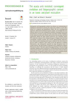 The acacia ants revisited: convergent evolution and biogeographic