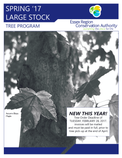 Large Stock Tree Order Form - Essex Region Conservation Authority