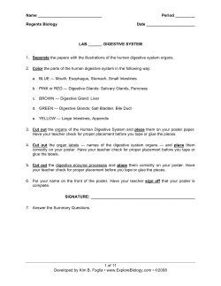 Digestive System - Explore Biology